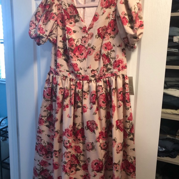 Rachel Parcel rose dress - Picture 2 of 6